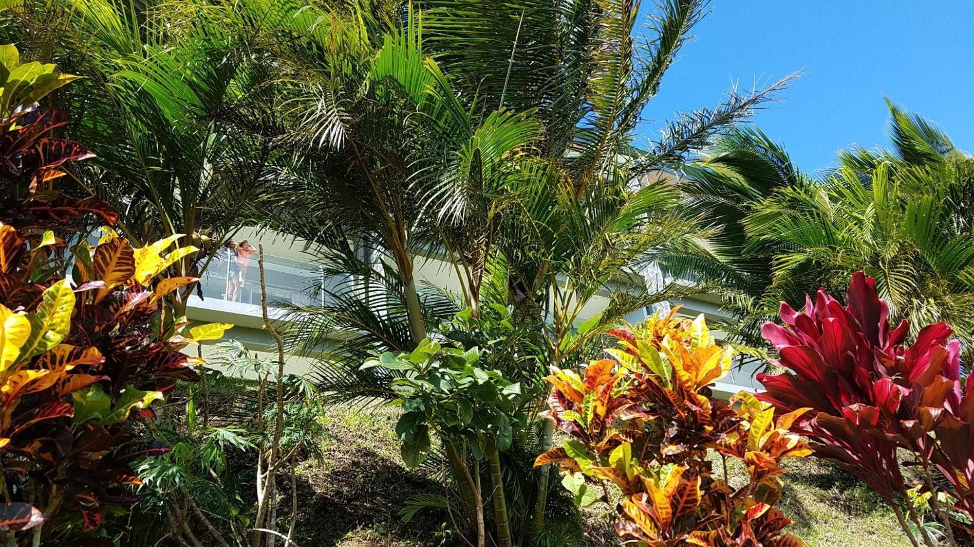 Naranjos Agrios Lake Arenal Condos المظهر الخارجي الصورة